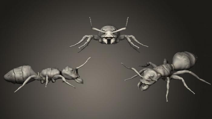 نموذج ثلاثي الأبعاد لآلة CNC الحشرات النمل النجار